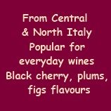Characteristics of barbera wine