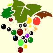 Ruby Cabernet Red Wine Variety in Australia, description, producers and regions