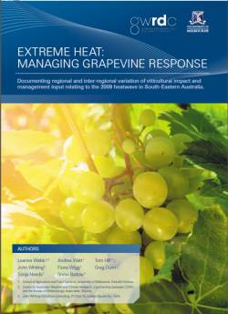 Heat wine in Vineyards paper