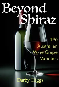 beyond Shiraz book cover 190