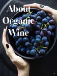 Everything You Need to Know About Organic Wines