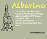 Albarino Wine Variety in Australia, a false start but now up and running