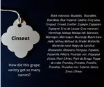 Cinsaut Red Wine Variety, origins, synonyms, producers and regions in Australia