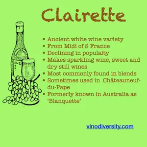 Clairette summary