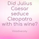 Brachetto is a red wine variety used to make frizzante style wines