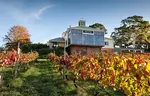 Adelaide Hills Wine Region: innovative winemakers and alternative wine grape varieties
