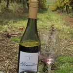 Bendigo Wine Region Its history, and list of wineries with alternative varieties