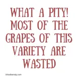 Pinot Meunier Variety usually in fizz but great for still red wines List of aussie  producers