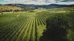 A cool climate wine region in the hills of the Australian Alps in NSW