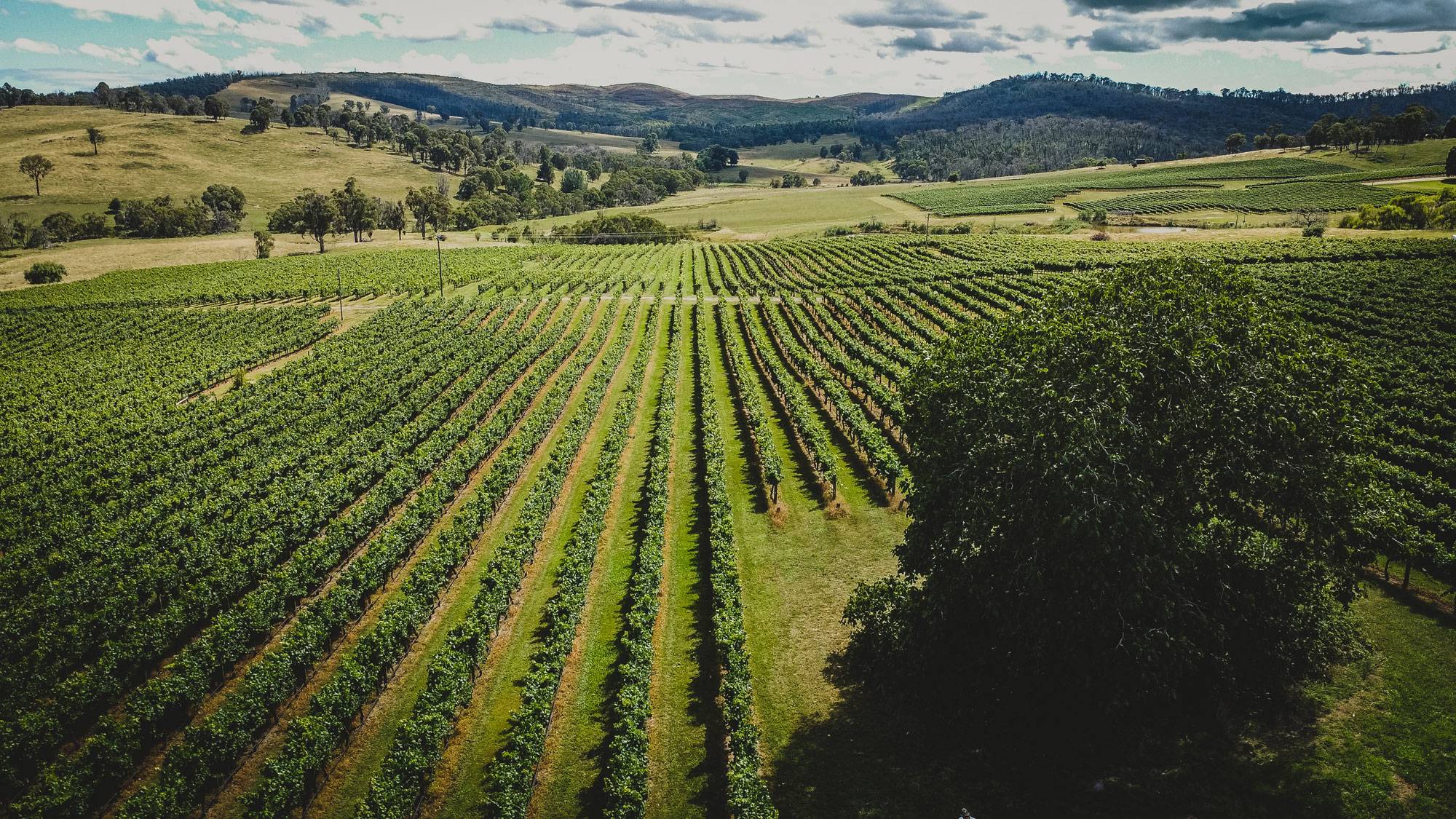 Tumbarumba Vista