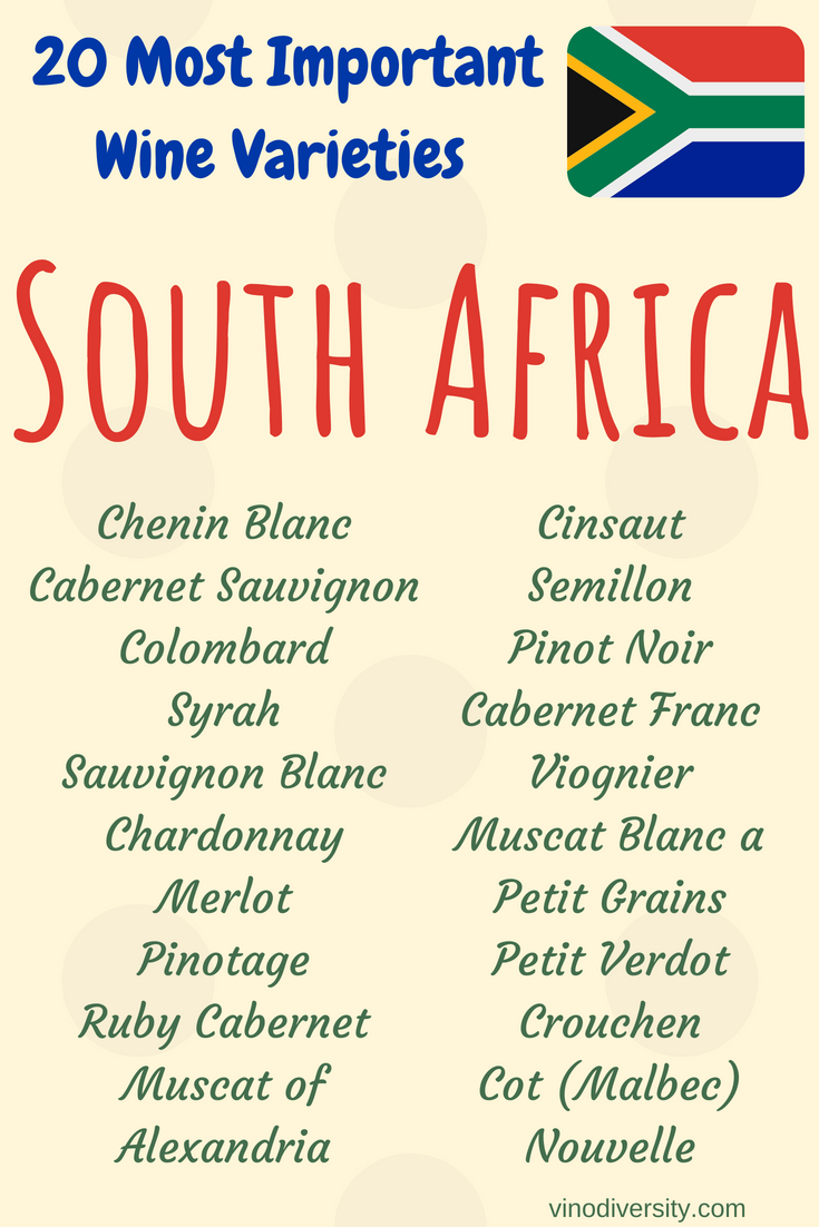 Wine grape varieties in South Africa