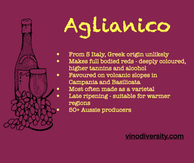 Aglianico Australia