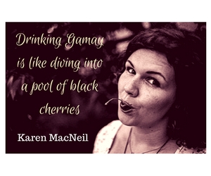 Drinking Gamay is like diving into a pool of black cherries