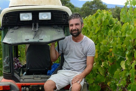 Franco d'Anna of Hoddles Creek Estate is a great enthusiast for Pinot Blanc