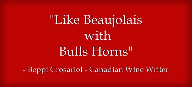 A description of the wines made from the Spanish wine variety Mencia.