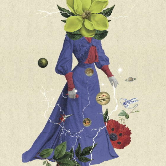 Arinto produced in Heathcote by Linnaea