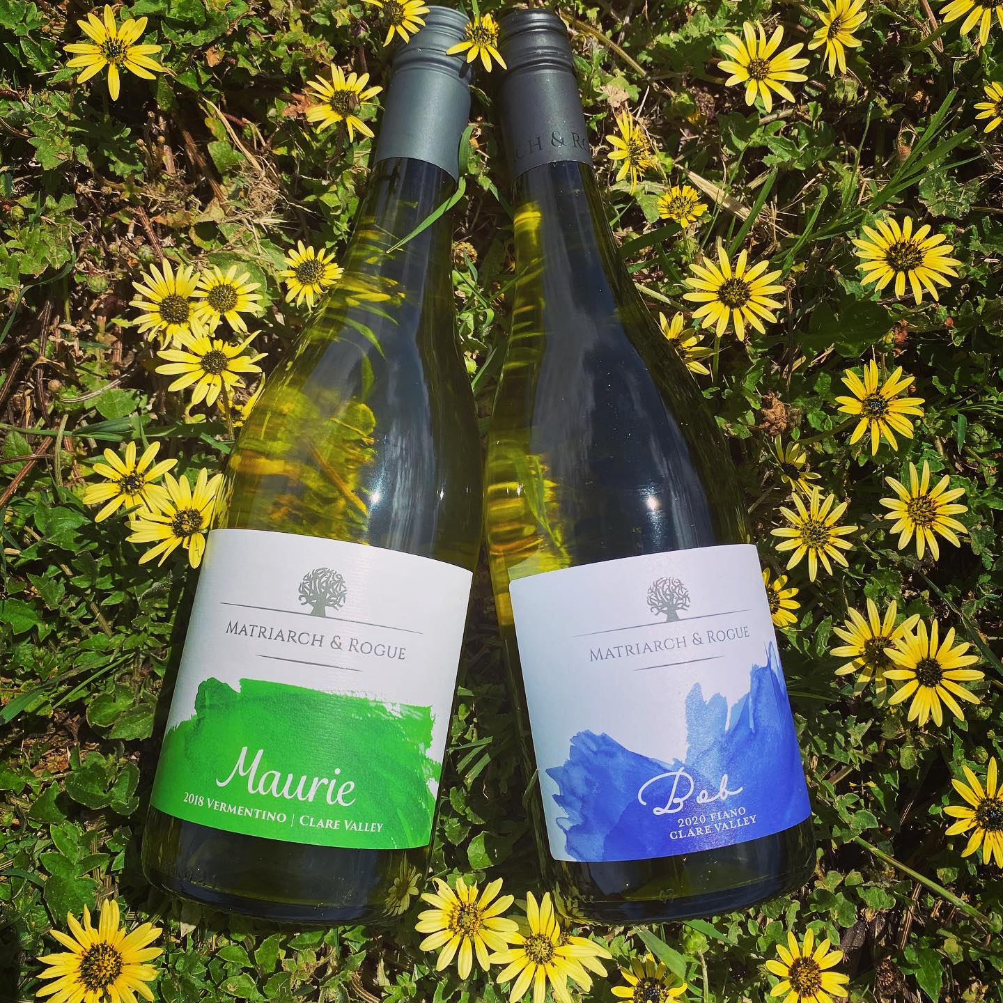 Matriarch and Rogue produce a range of alternative varieties in this region, including Fiano and Vermentino Matriarch and Rogue produce a range of alternative varieties in this region, including Fiano and Vermentino