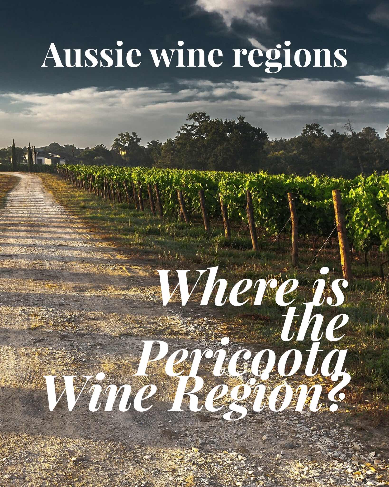 Perricootta wine region Perricootta wine region