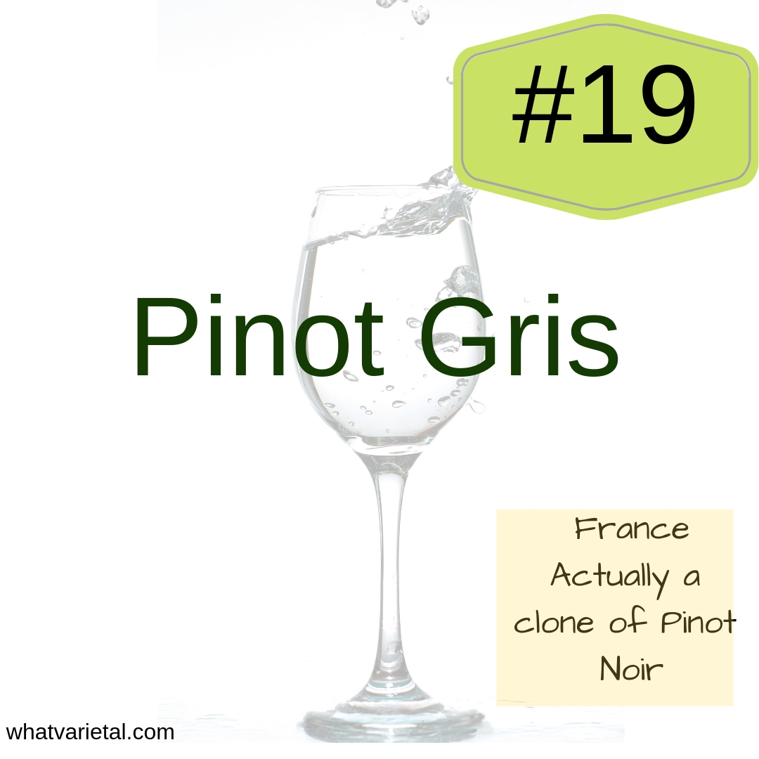 Pinot Gris is one of the varieties described in the What Varietal is That'  book,.
