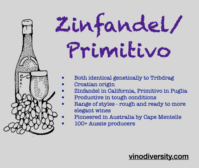 Zinfandel Primitivo