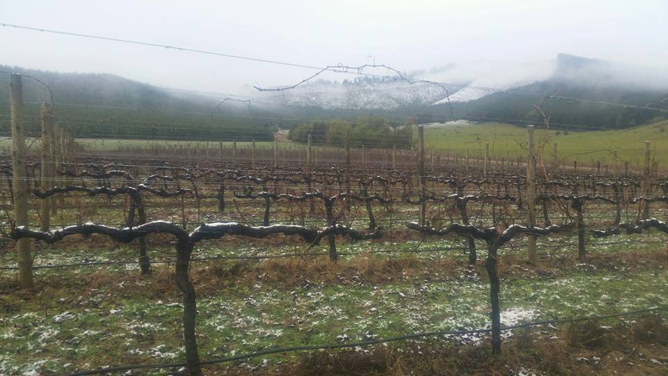 Alpine Valleys wine region