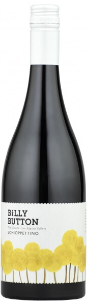 Billy Button Schoppettino from Alpine valleys region of NE Victoria