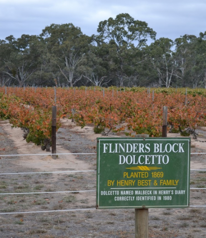 Best's Great Western Vineyard has some Ancient vines including these Dolcetto