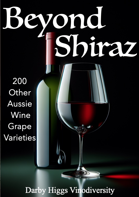 Beyond Shiraz cover  Beyond Shiraz cover