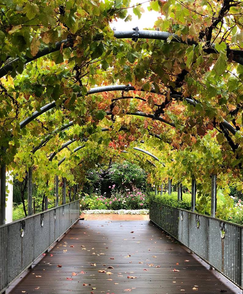 The entrance to Capel Vale Winery Cellar Door and Restaurant.