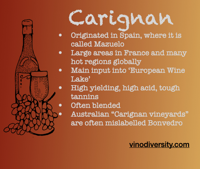 Carignan Red wine in Australia Carignan Red wine in Australia