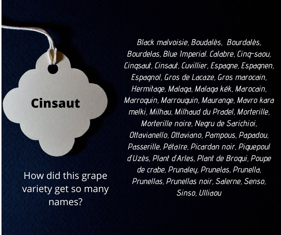 Synonyms of the grape variety Cinsaut