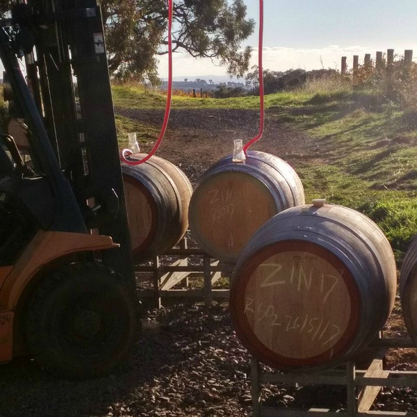 ZInfandel going into barrels