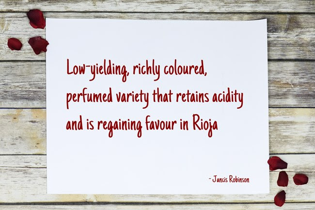 Graciano quote by Jancis Robinson