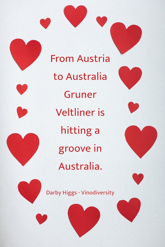 Gruner Veltliner in Australia