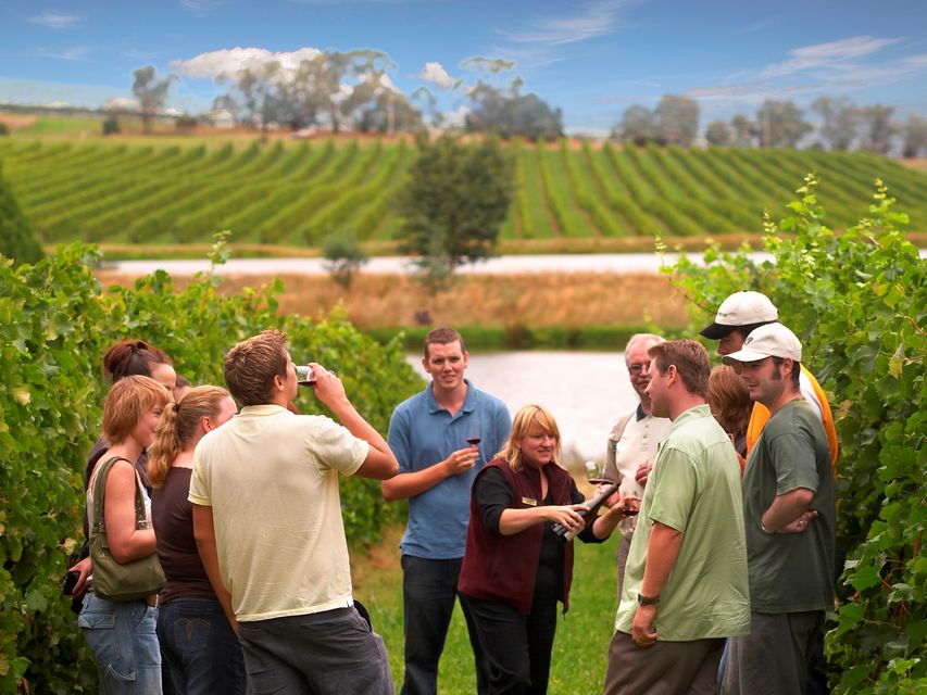 Yarra Valley Wine Tour