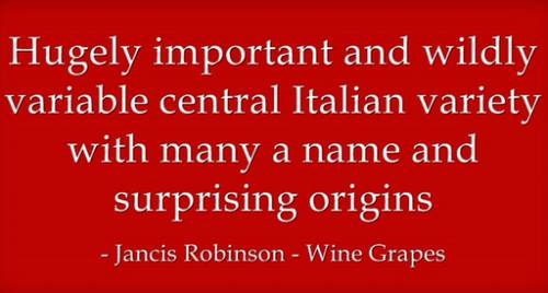 Quote By Jancis Robinson from her book Wine Gapes