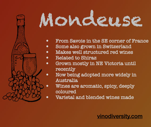 Monduese wine Monduese wine