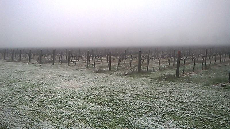 A light dusting of snow in this winter scene at Monument Vineyard