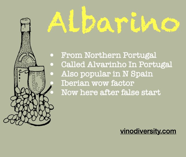 Albarino white wine variety in Australia