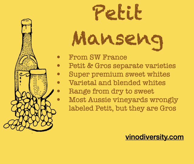 Petit Manseng in Australia. One of 9 new white varieties, which is best?