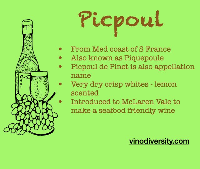 Picpoul/Piquepoule in Australia. One of 9 new white varieties, which is best?