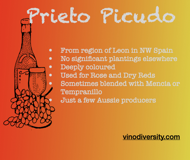 prieto picudo square prieto picudo square