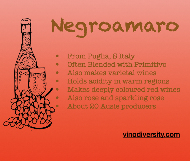 Negroamaro Wine in Australia. From Puglia Italy
