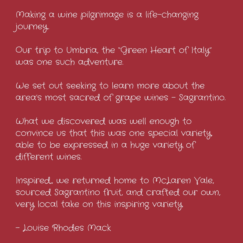 Why Aphelion in the Mclaren Vale Region is making Sagrantino