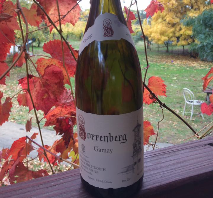 Sorrenberg Gamay is widely regarded as the best example of this variety in Australia