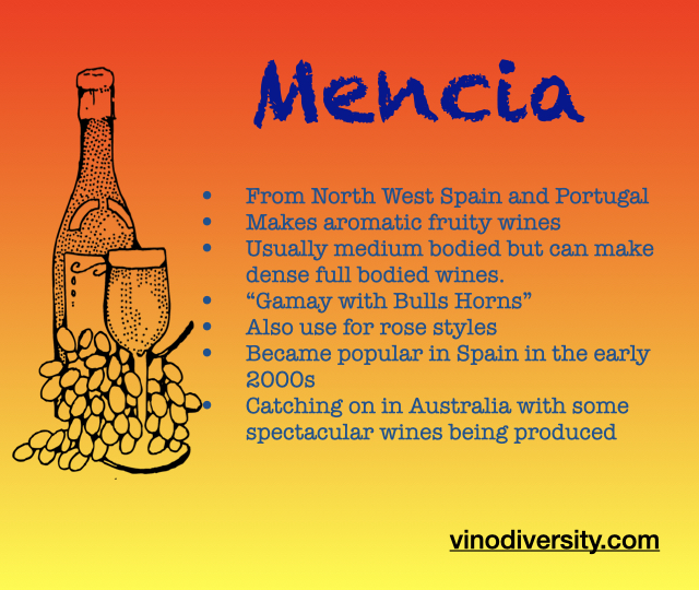 Squaremencia Squaremencia