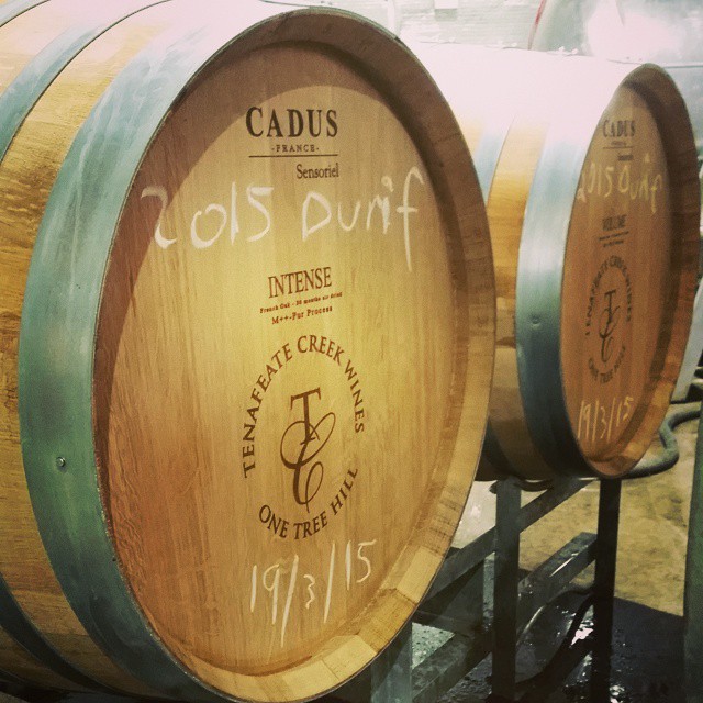 Durif variety is a newcomer to the Adelaide Plains Wine Region, but the climate suits it.