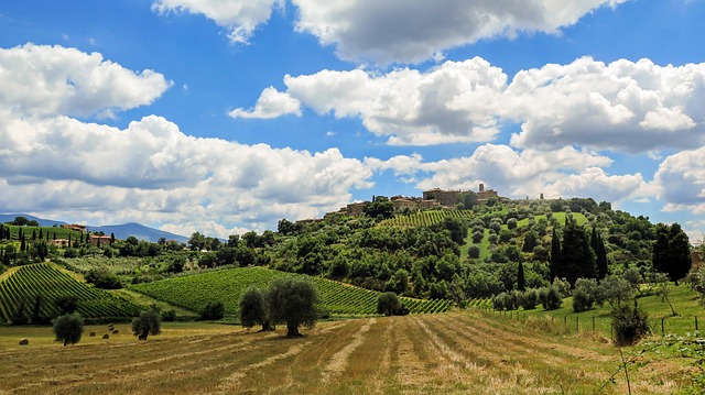 Tuscany landscape with vineyard and hilltop village Tuscany landscape with vineyard and hilltop village