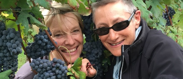 Nebbiolo grapes and vignerons  at Virago Wines Beechworth wine region NE Victoria