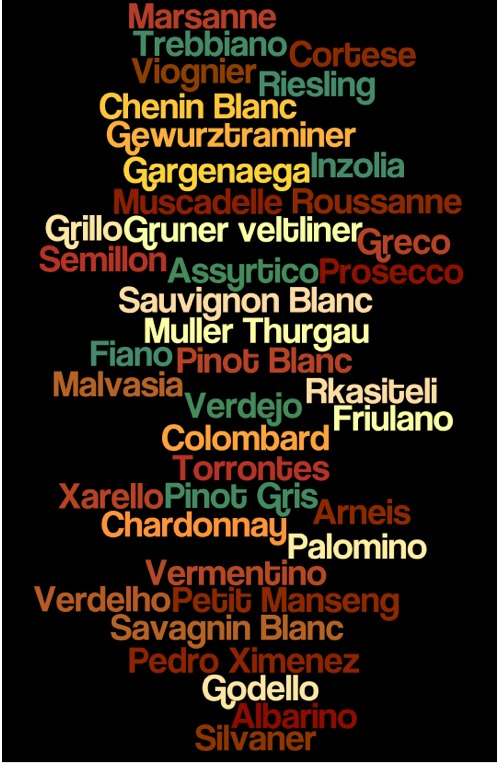 40 white wine grape varieties